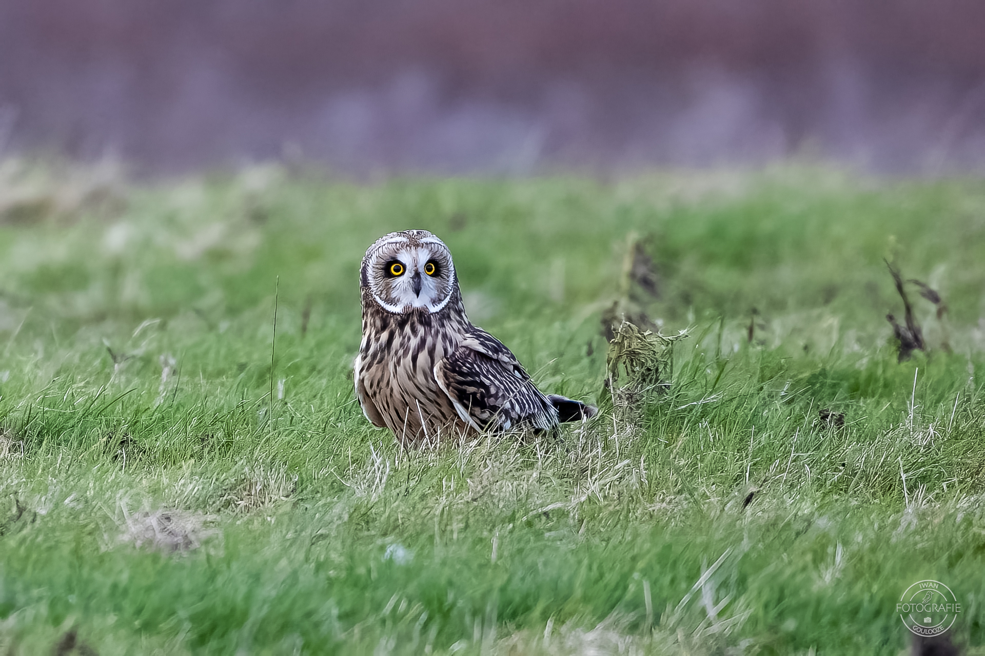 16 oktober 2022 172705 1R2A4946 bewerkt